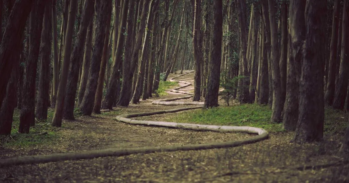 Kalshi Launches Parent Portal and AI Verification to Block Underage Users From Prediction Markets