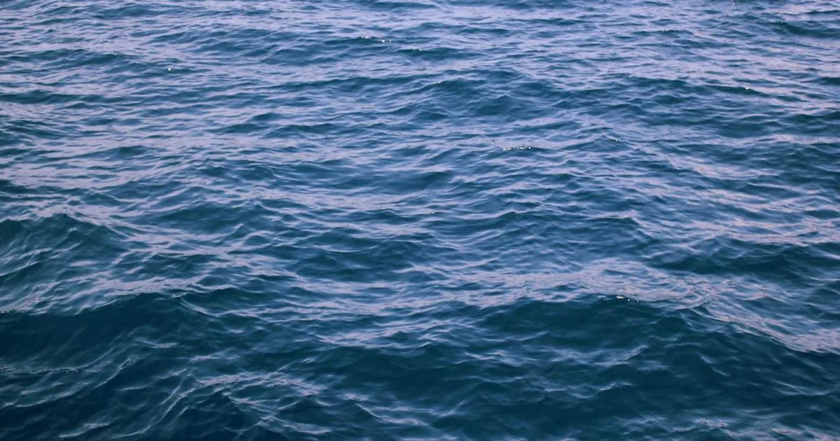 Kalshi Prediction Markets Battle Could Reach Supreme Court as Federal vs. State Clash Intensifies