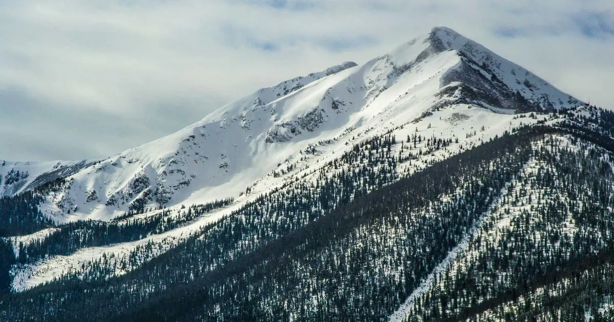 MemeCore (M) Explodes 35% in 24 Hours: Price Analysis and April 2026 Outlook